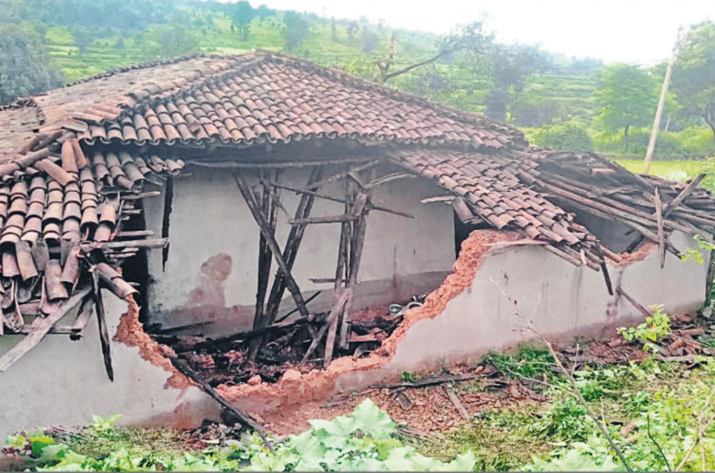 अंबिकापुर : मैनपाट में हाथियों की संख्या बढ़कर हुई 12, ढहाया दो घर