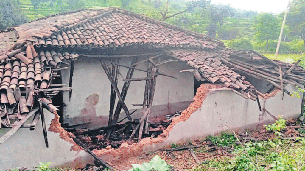 अंबिकापुर : मैनपाट में हाथियों की संख्या बढ़कर हुई 12, ढहाया दो घर