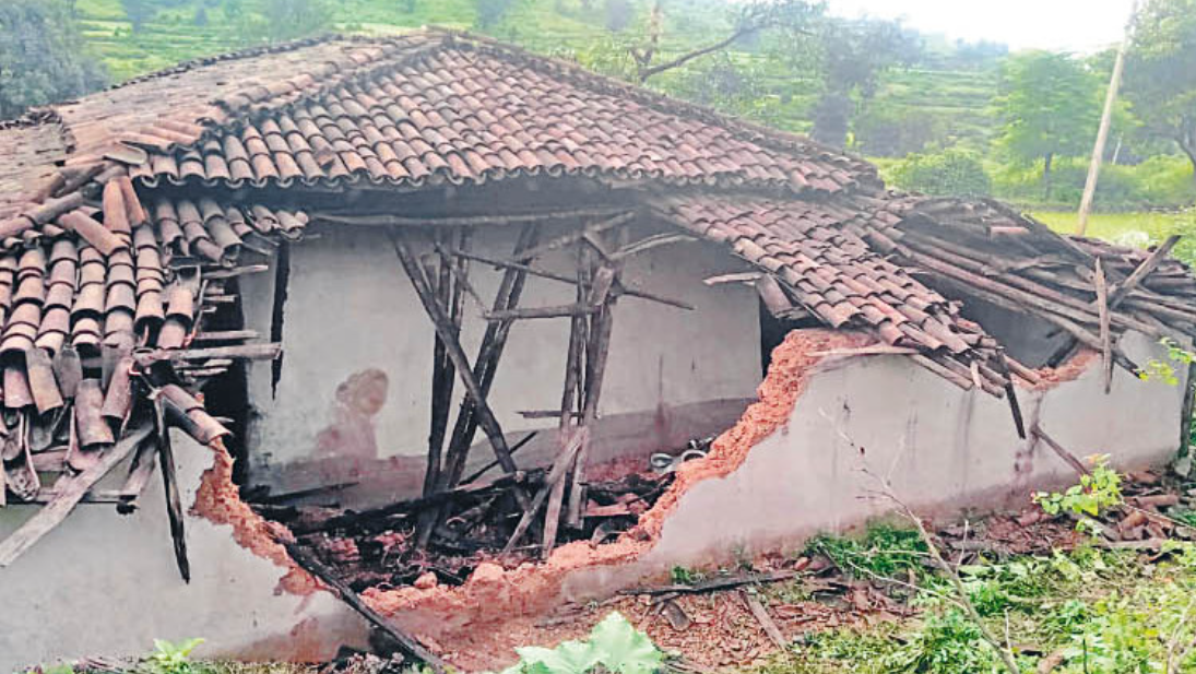 अंबिकापुर : मैनपाट में हाथियों की संख्या बढ़कर हुई 12, ढहाया दो घर